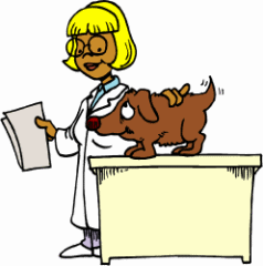 Veterinarian