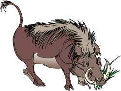 Warthog