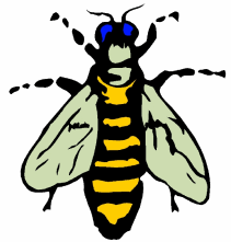 Yellowjacket