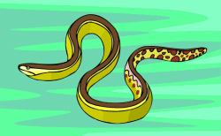 Yellow Sea Snake