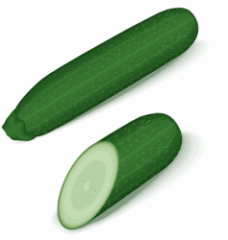 Zucchini