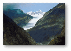 Fox Glacier