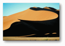 The Kalahari Desert