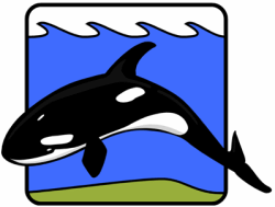 Killer Whales