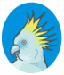 Cockatoo