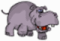 Hippopotamus