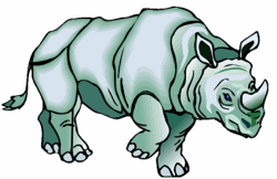 Rhinoceros