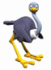 Ostrich