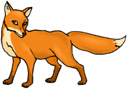 Fox