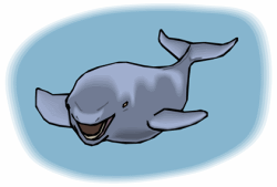 Whale