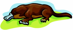 Platypus