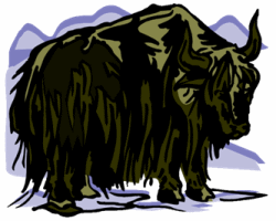 Yak