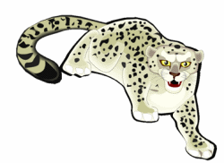 Snow Leopard