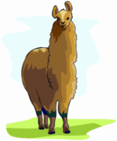 Llama