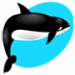 Killer Whale