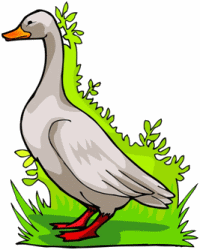 Goose