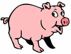 Pig