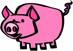 Pig