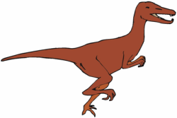 Velociraptor