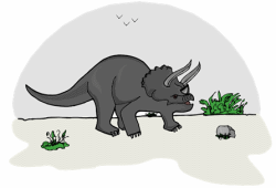 Triceratops