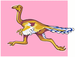 Archaeopteryx